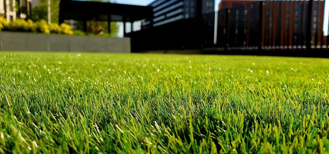 Gaziantep peyzaj düzenlemesinde bakımlı yeşil çim alanı