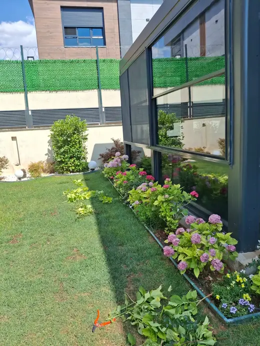 Şahinbey villa bahçesinde camlı kış bahçesi boyunca çiçek açmış ortanca (hydrangea) bordürü