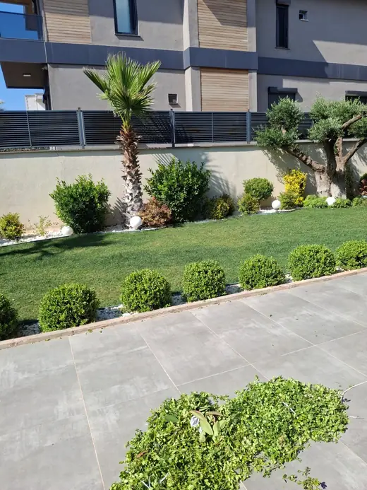 Şahinbey villa bahçesinde Washingtonia palmiye, bonsai formlu zeytin ve büyük ebat porselen seramik zemin