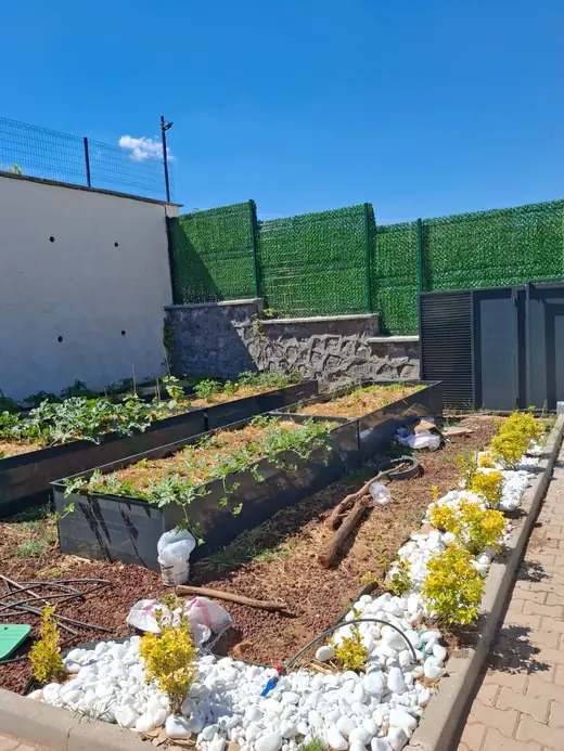 Şahinbey villa bahçesinde yükseltilmiş metal sebze tarhları ve beyaz çakıllı süs bordüründe damla sulama hattı