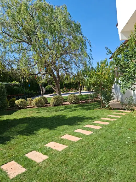 Şehitkamil havuzlu villa bahçesinde çime döşenmiş kesme taş basamak yol ve şimşir küre bordür