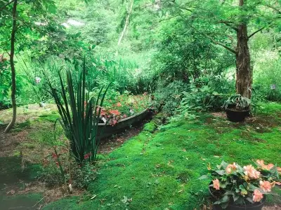 Yoğun bitkilendirme yapılmış doğal bahçe peyzajı